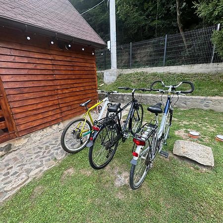 Woods Retreat Vila Rîu de Mori Exterior foto