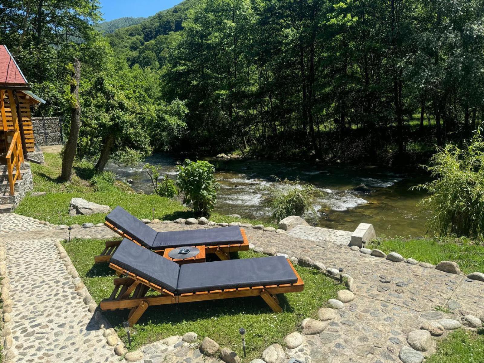 Woods Retreat Vila Rîu de Mori Exterior foto